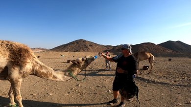 3-Hour Morning Dune Buggy Tour – An Unforgettable Desert Adventure! photo